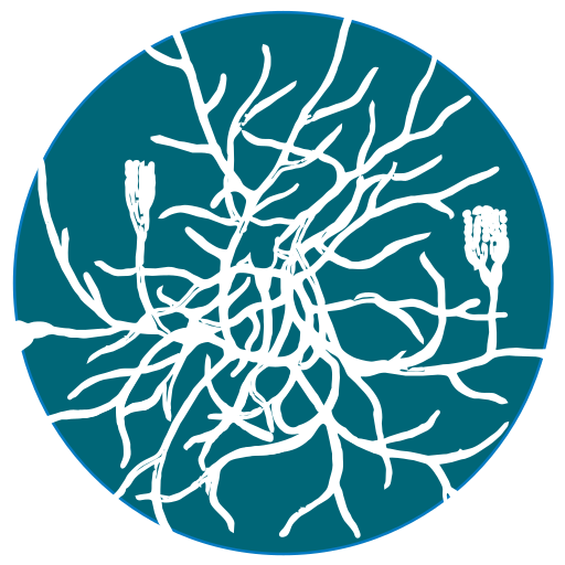 Пермакультура